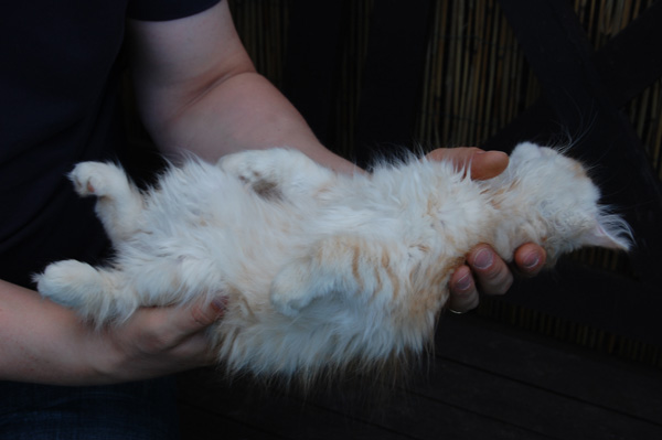 schlafen kann ich überall.jpg